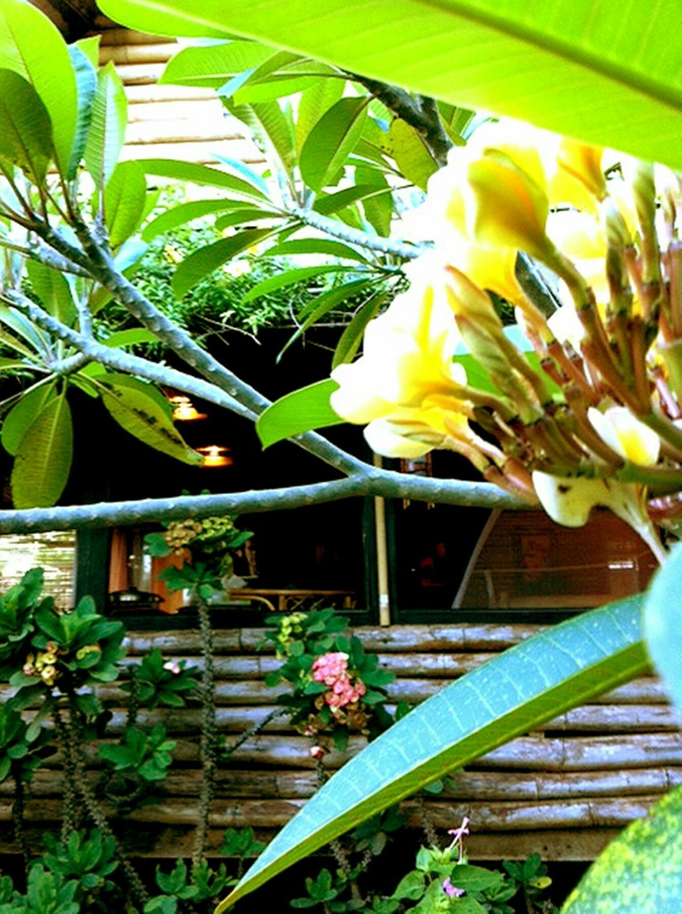 The Village House Puerto Princesa Kültér fotó